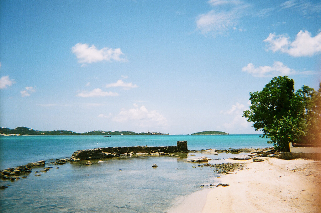 baie-Nettlé : baie-Nettlé :