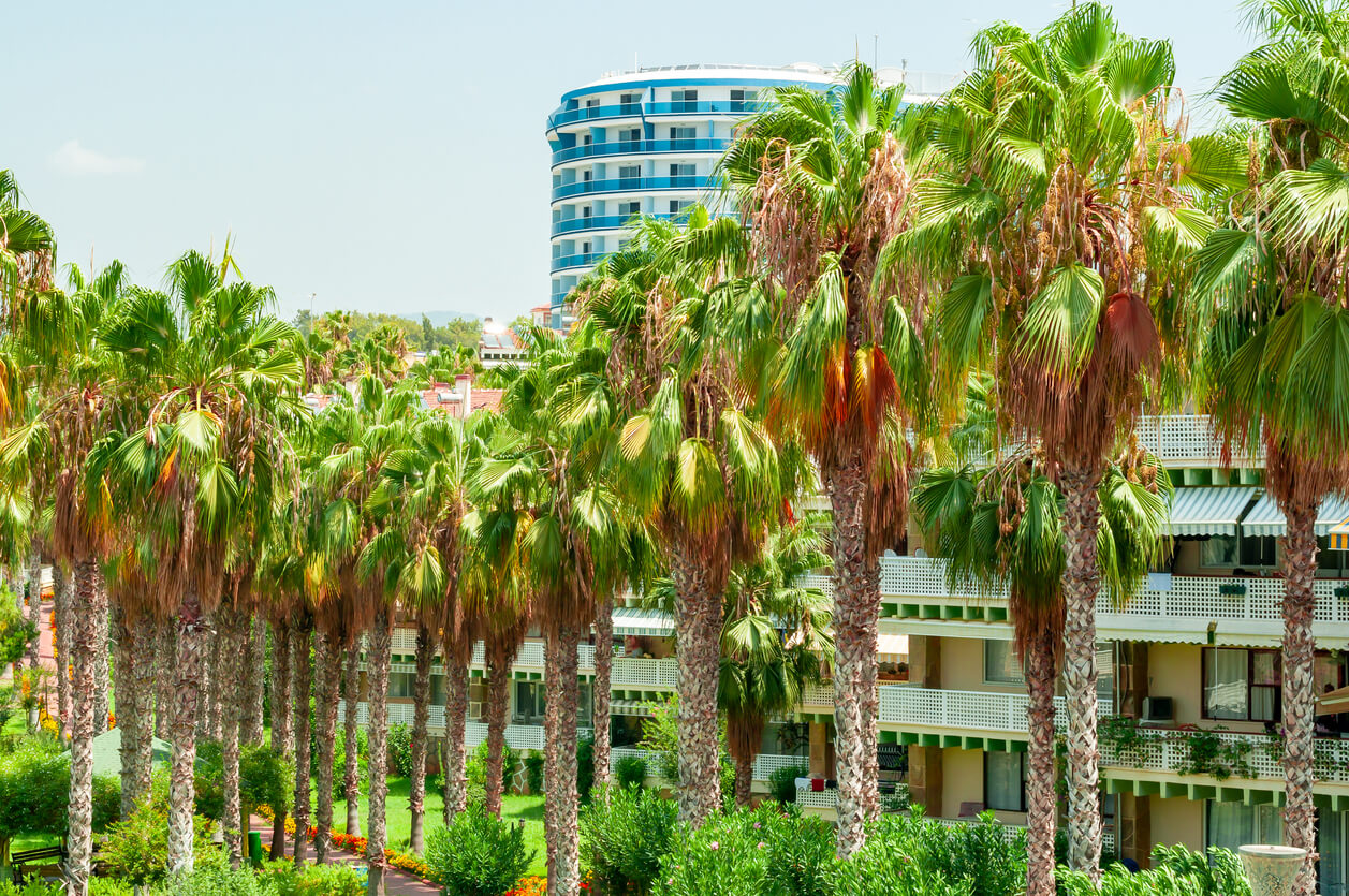 Belek :  Belek :
