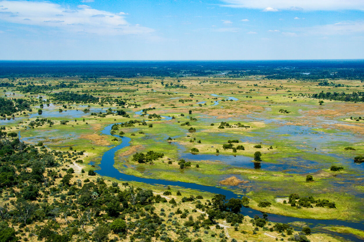Botswana: Le Delta de l'Okavango, Botswana