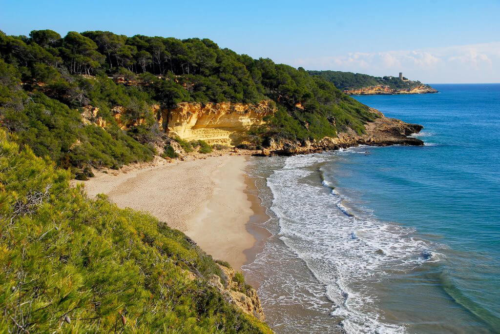 Cala en Bosc : Cala en Bosc :