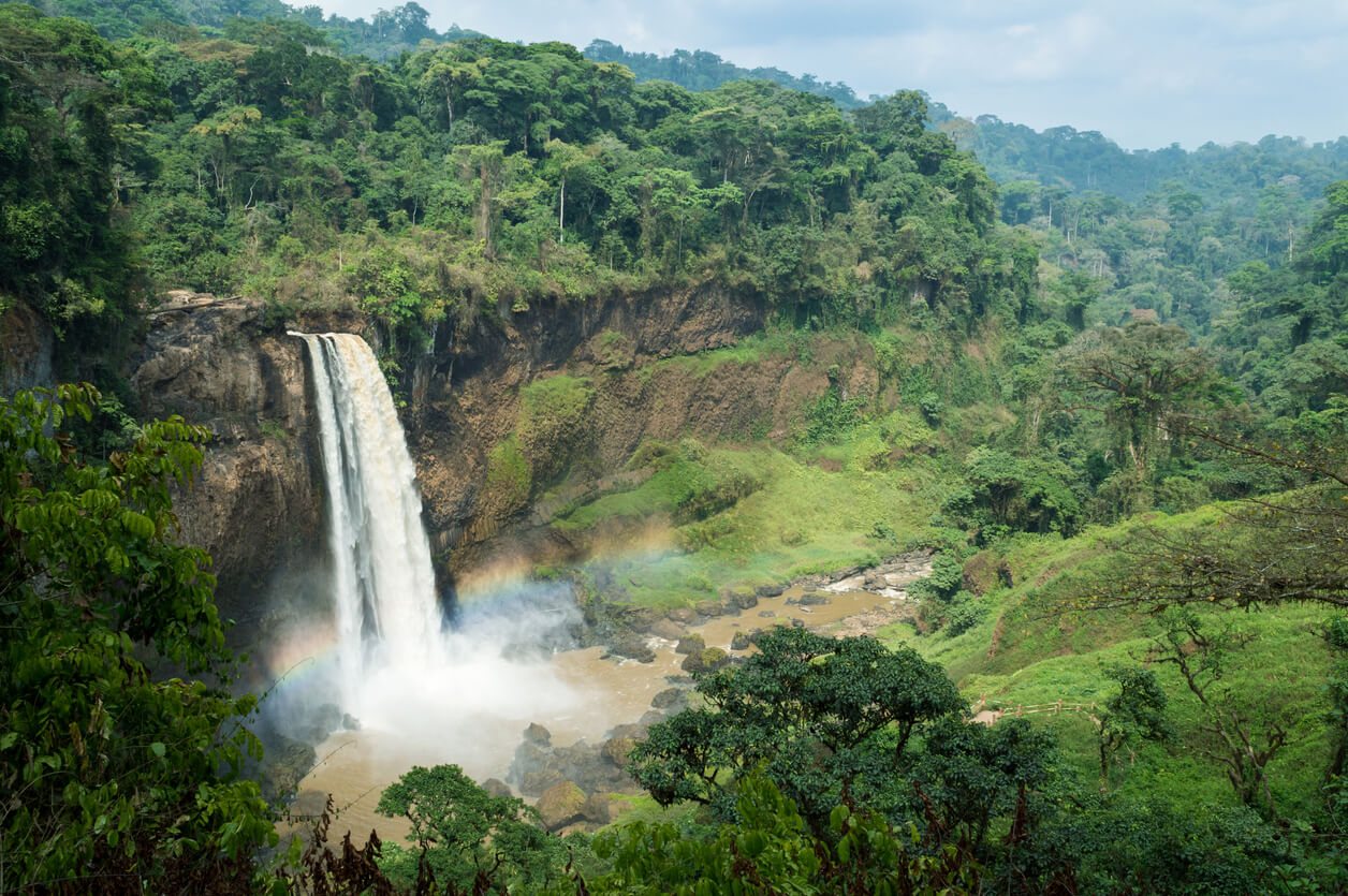 Kamerun: Chutes d'Ekom dans la forêt tropicale (Melong) Kamerun: Chutes d'Ekom dans la forêt tropicale (Melong)