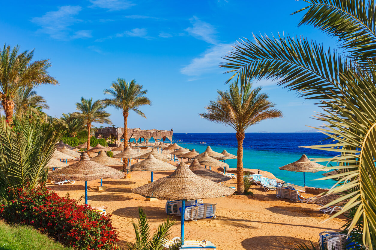 Sharm El Sheikh :  Sharm El Sheikh :