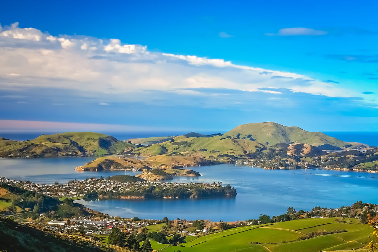 Kmart Nz Dunedin at Gail Edwards blog