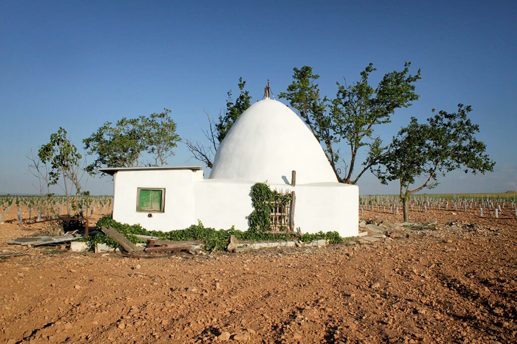 El Cuco :  El Cuco :