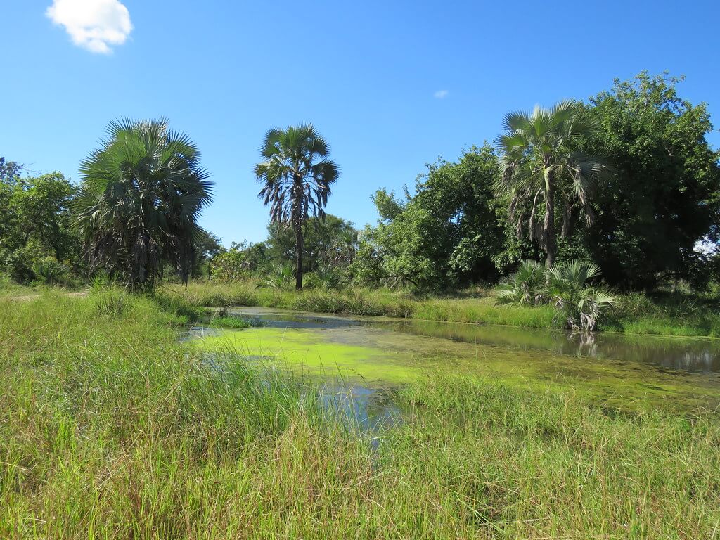 Park Narodowy Gorongosa : 