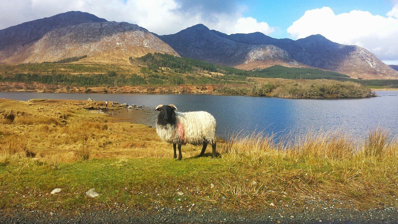 Irlandia: Le parc national du Connemara