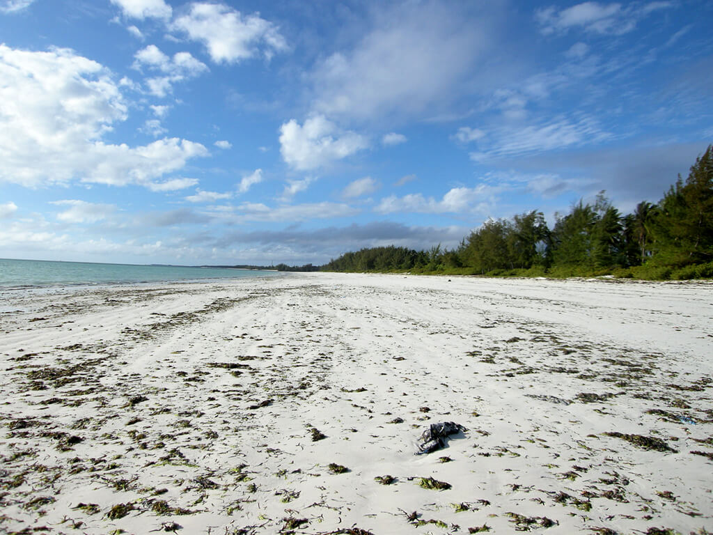 Jambiani :  Jambiani :