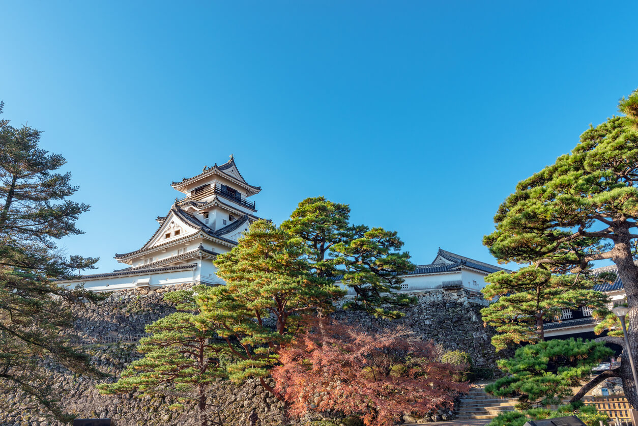 Kochi : Château de Kochi