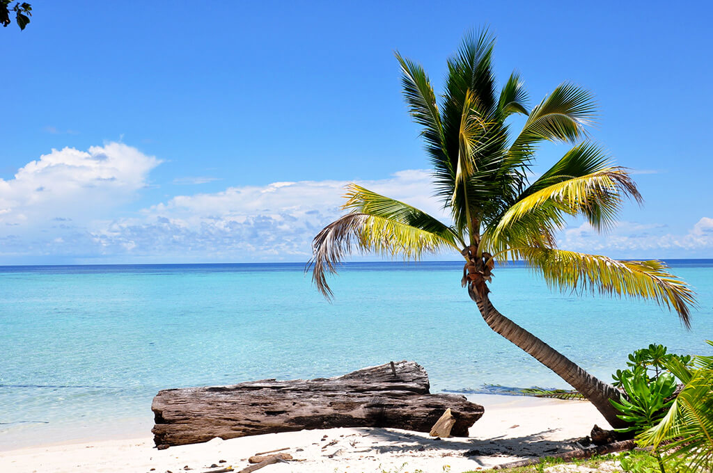 Wyspa Kakaban : Wyspa Kakaban :