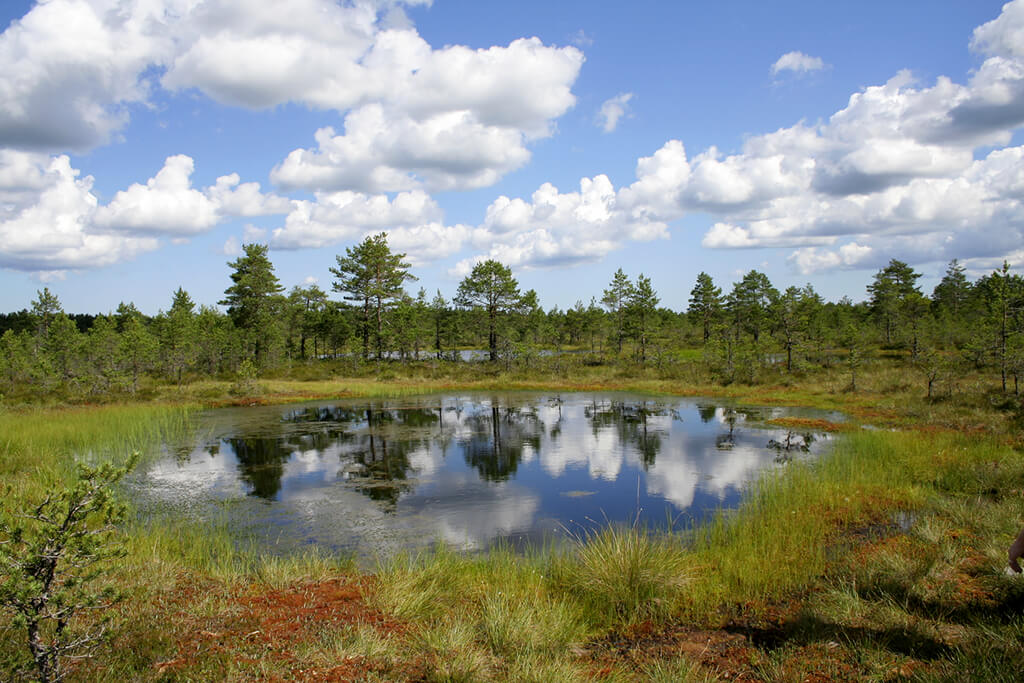 Park Narodowy Lahemaa : 