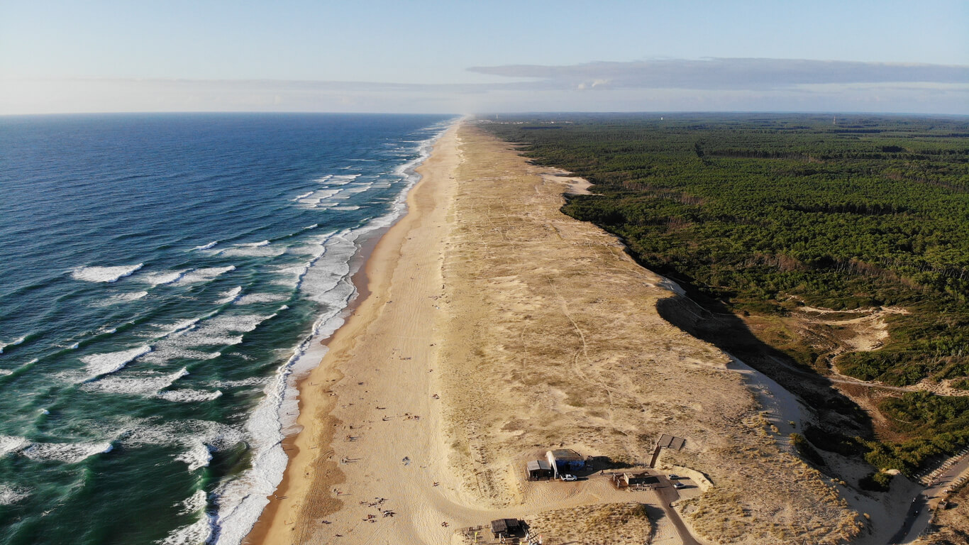 Landy: Vue du littoral des Landes, près de Seignosse Landy: Vue du littoral des Landes, près de Seignosse