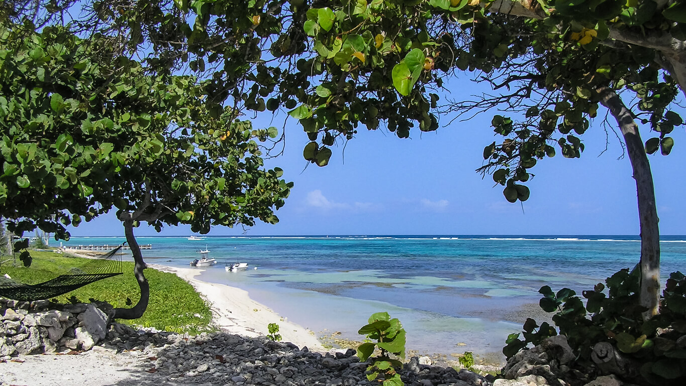 Little Cayman : Little Cayman :