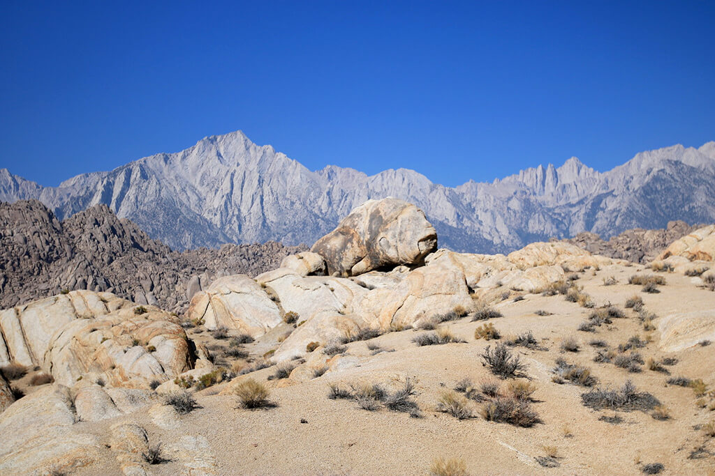 Lone Pine : Lone Pine :