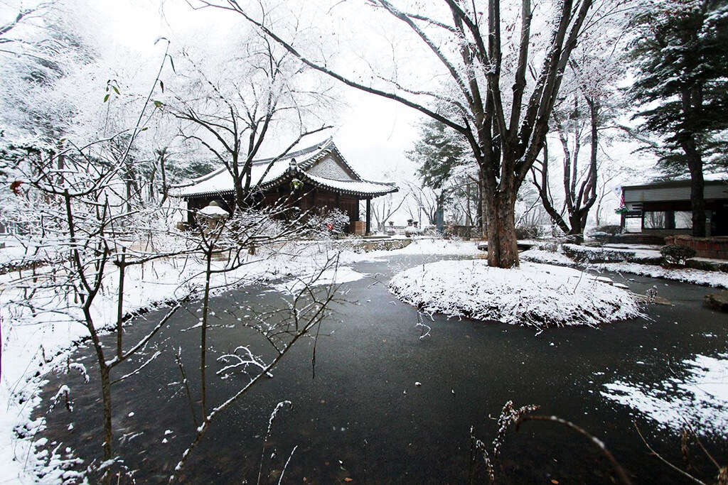 Namiseom (Nami Island) : Namiseom (Nami Island) :