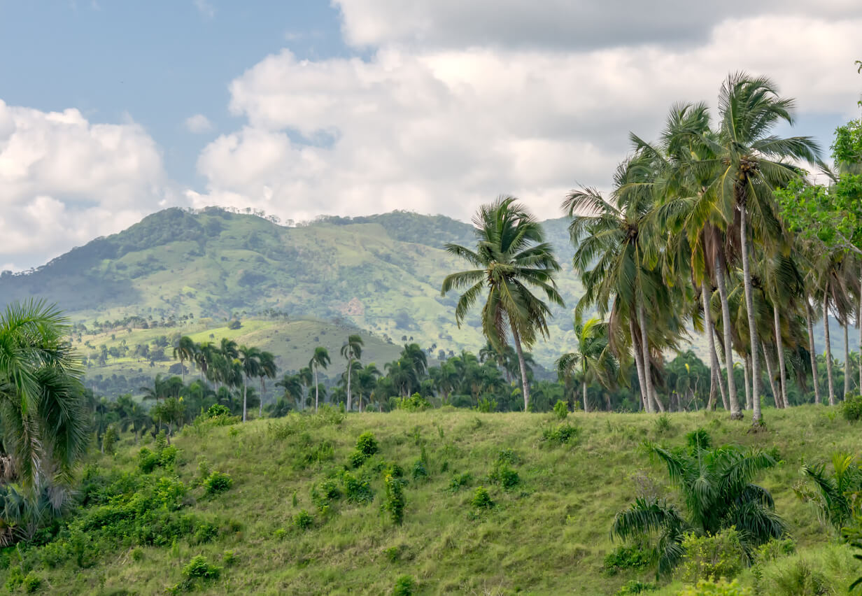 Constanza : Constanza