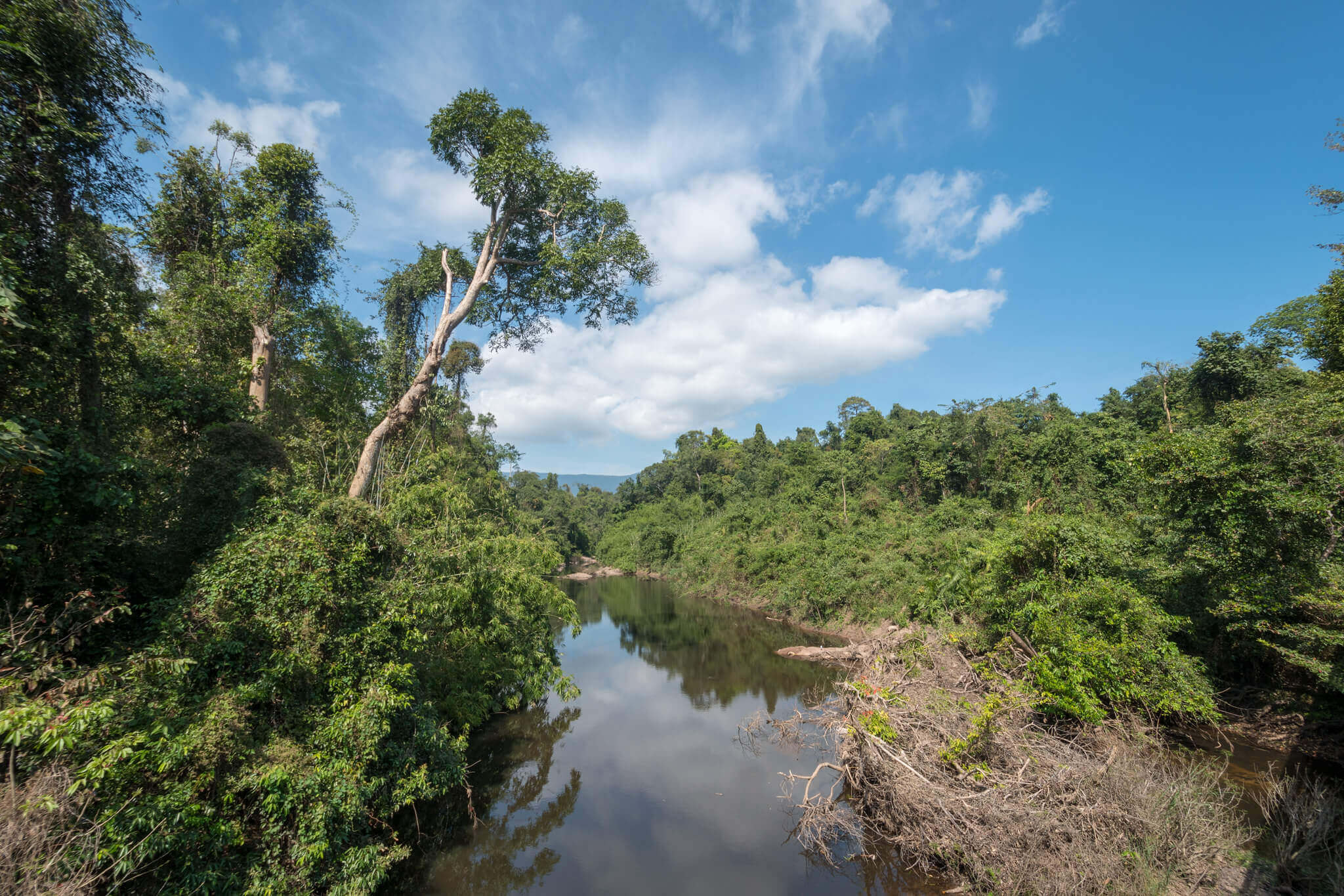 Park Narodowy Khao Yai : Parc national Khao Yai (éléphants, animaux…)