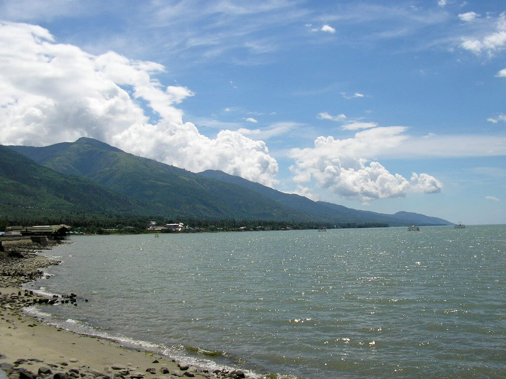 Palu : 