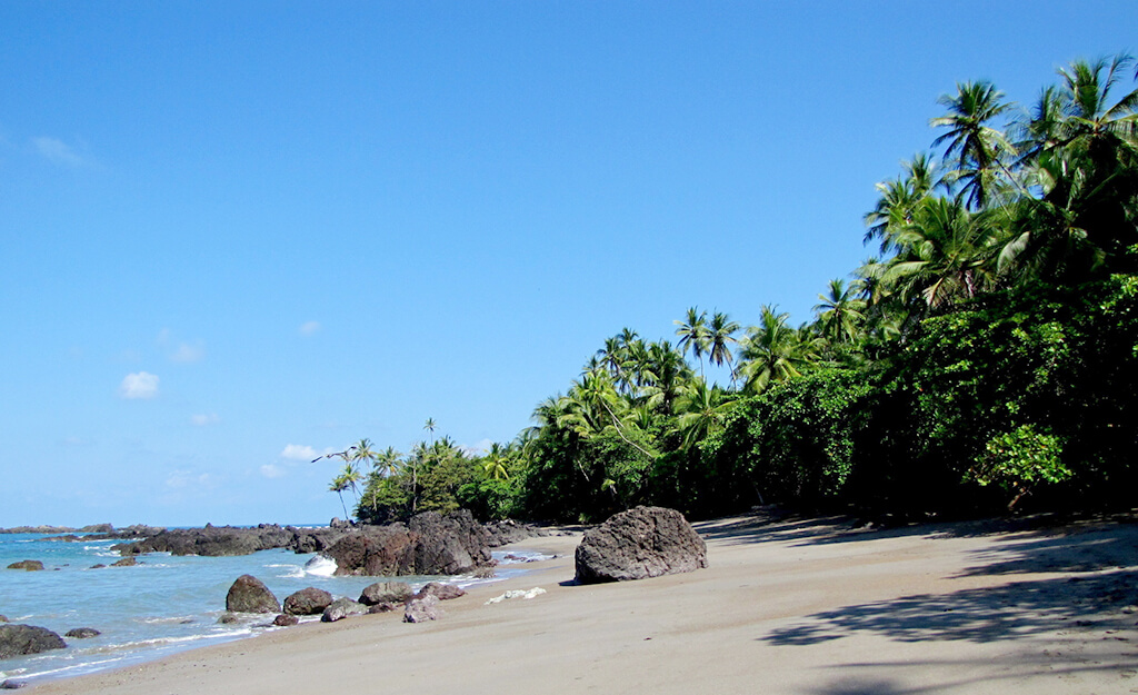 Puerto Jiménez :  Puerto Jiménez :