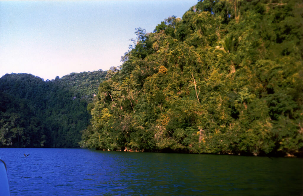 Río Dulce :  Río Dulce :