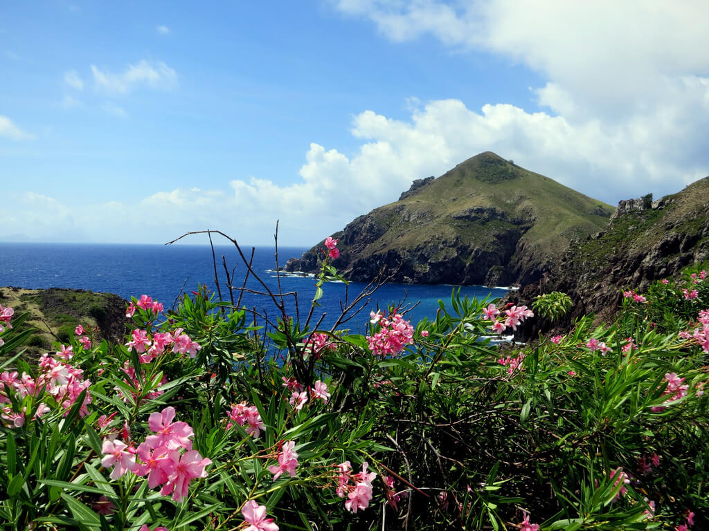 Saba :  Saba :