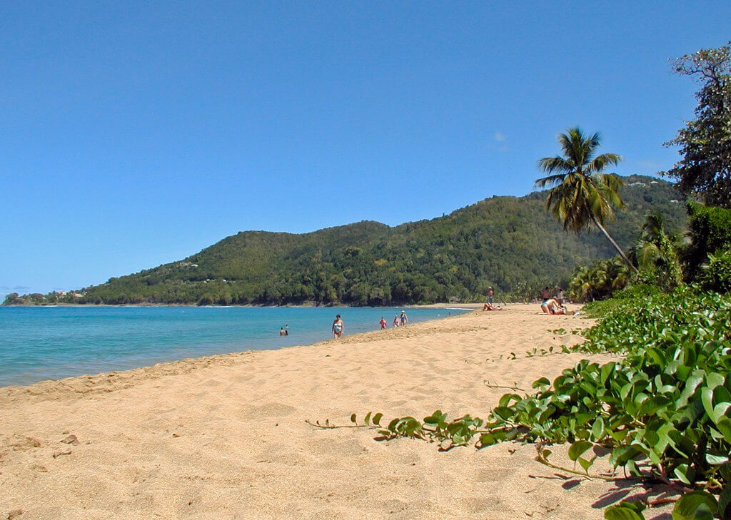 Sainte-Rose (Guadeloupe) :  Sainte-Rose (Guadeloupe) :