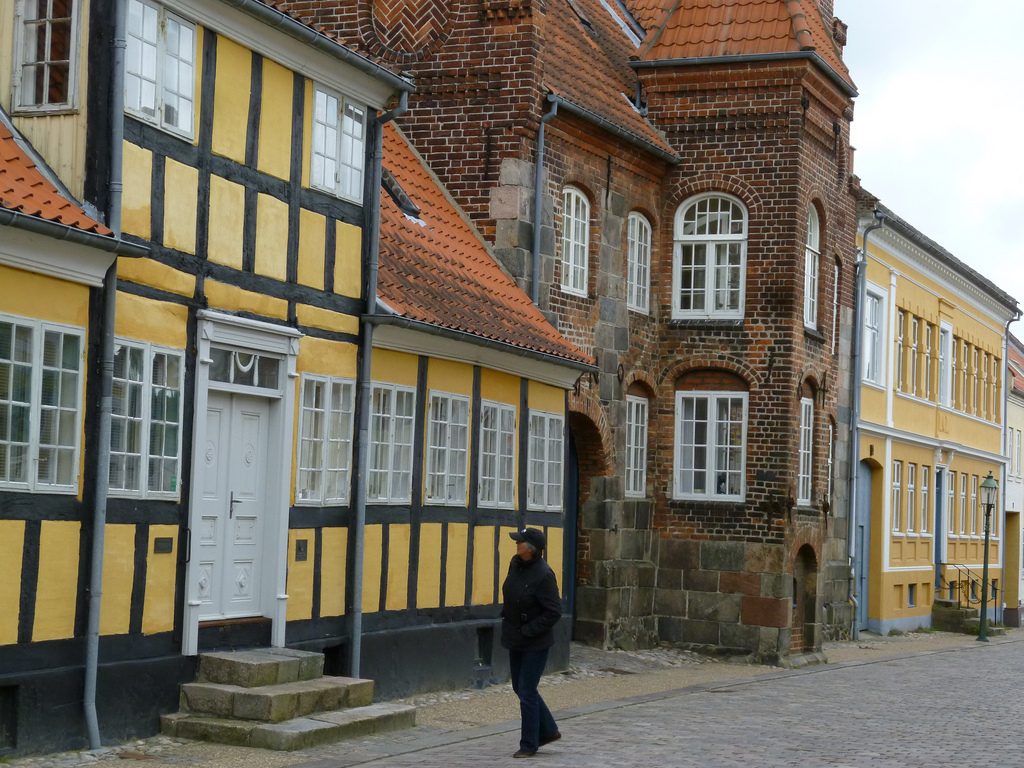Viborg : 
