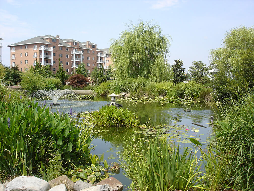 Virginia :  Virginia :