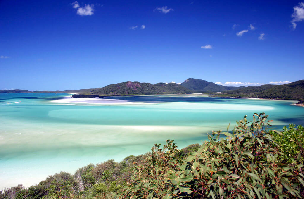 Wyspy Whitsunday : 