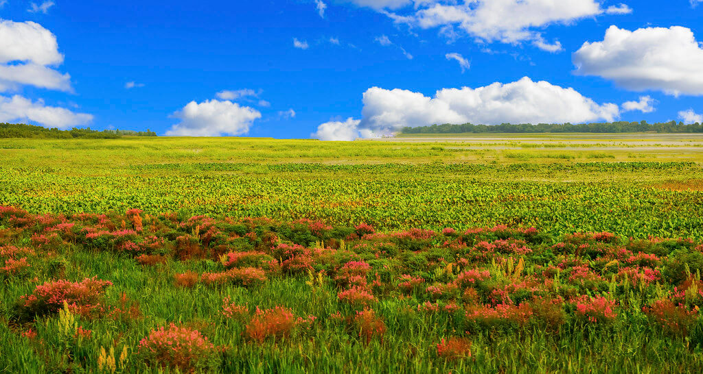 Wisconsin : Wisconsin :